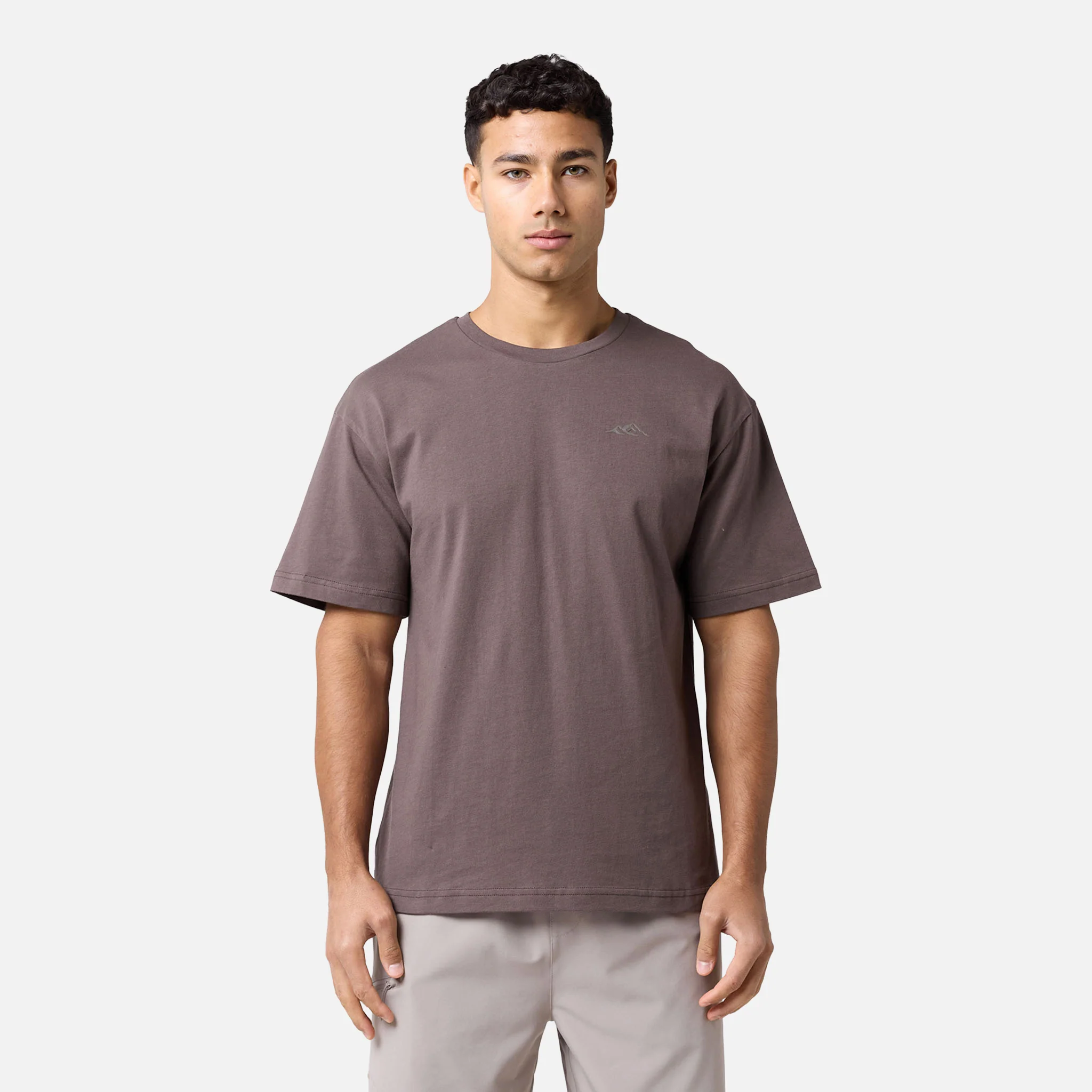 Core Mountain T-Shirt | Brown